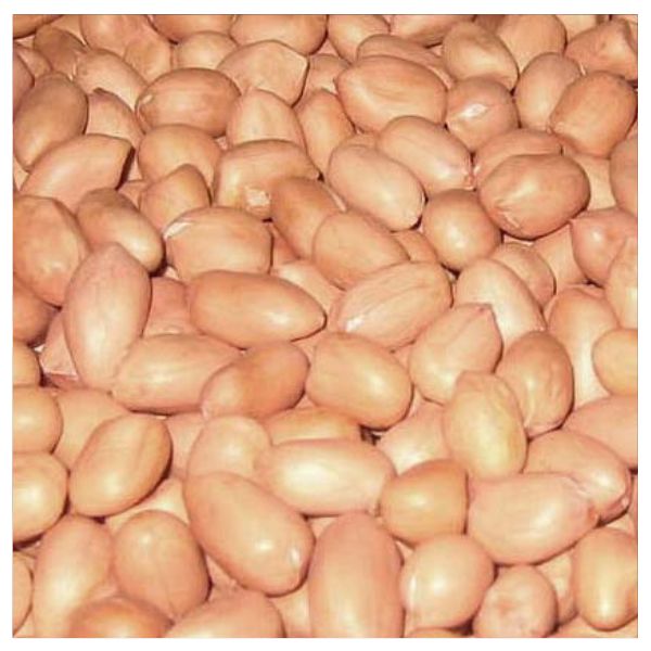 Raw spanish java peanut kernels 